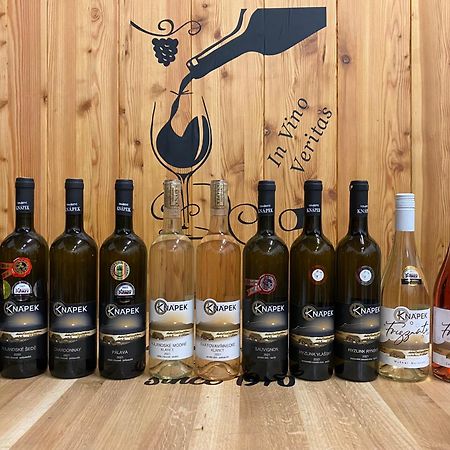 Vinarstvi & Penzion Knapek Strachotin酒店 外观 照片