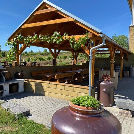 Vinarstvi & Penzion Knapek Strachotin酒店 外观 照片